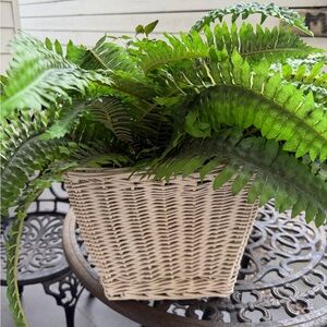 White Wicker Basket